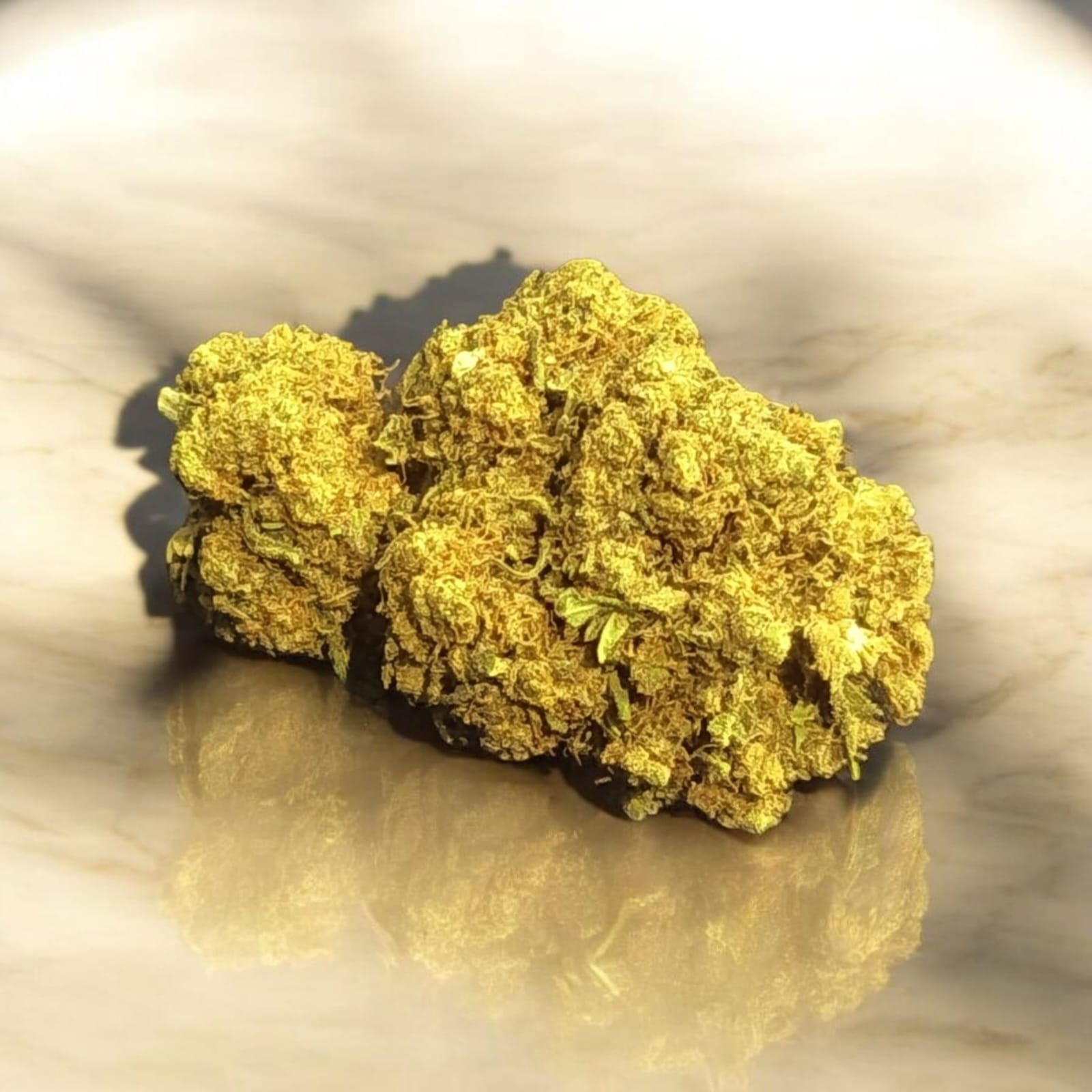 Gros plan de têtes de cannabis CBD compactes et résineuses, posées sur une surface claire et brillante avec léger reflet